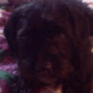 Meet your Posher, Jeanette